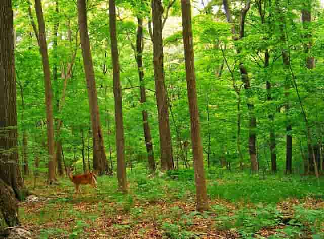 志愿者服务的活动规划