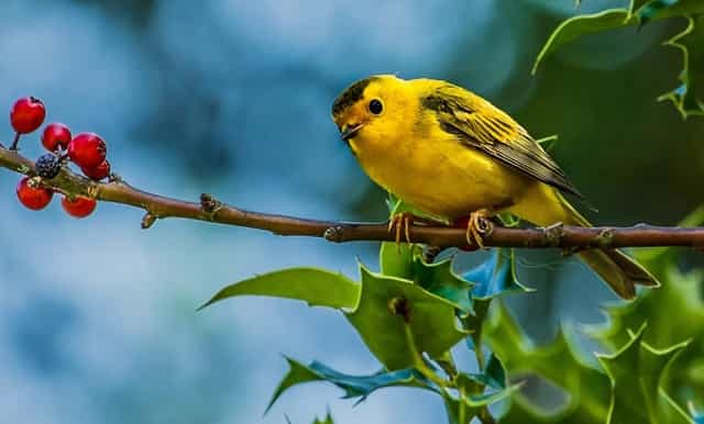 白癜风扩大一般几天