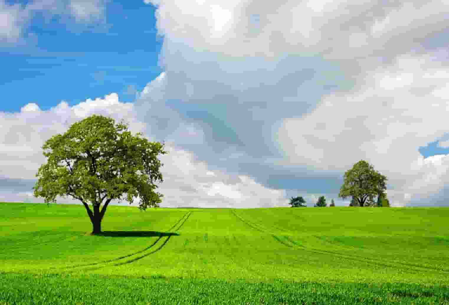 九龙湖西的学区