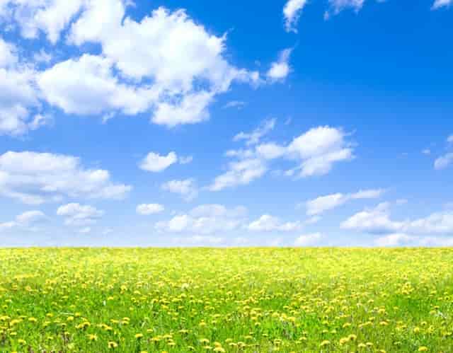 低于最低控制分数线能被录取吗