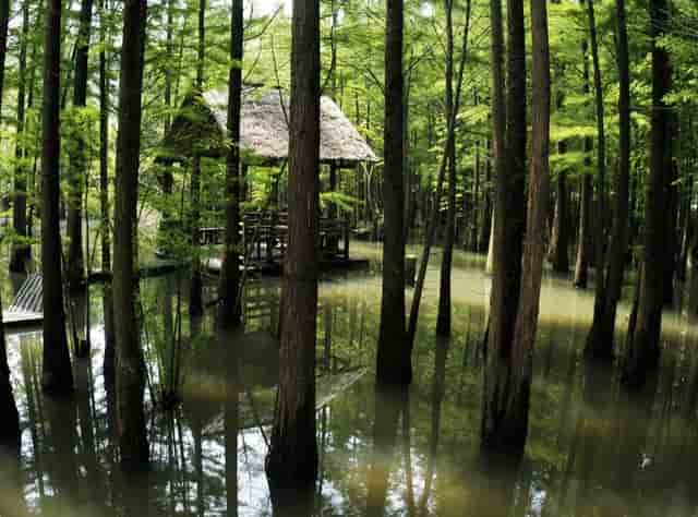 排水口尺寸对照表(西门子洗碗机排水口尺寸)