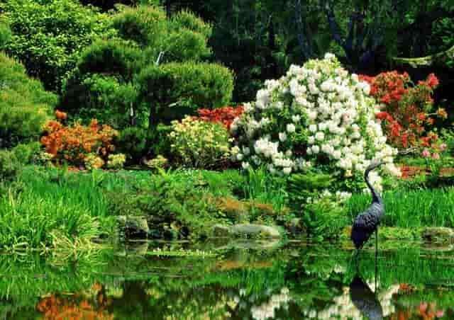 社保费个人基数(社保费基数申报在哪里申报)