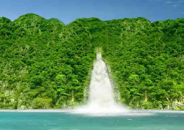 什么人能上警察学校