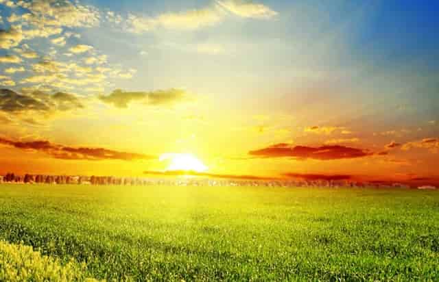 九龙湖西的学区