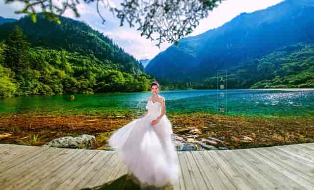 袖虎病猫攻略：猫的多囊肾是什么