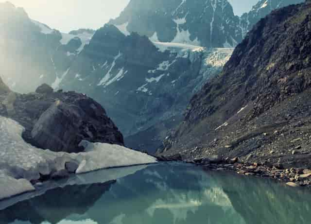 袖虎病猫攻略：猫不正常掉毛的五大原因，你知道几个？