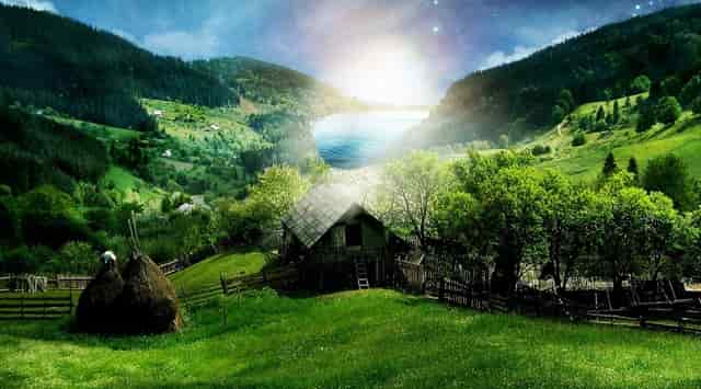 对副总经理(对副总经理的评价)