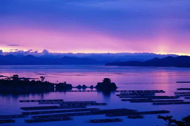 大专考大专文凭