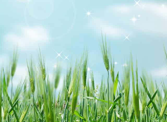 袖虎知识库：这个东西看似没用，实则少不了