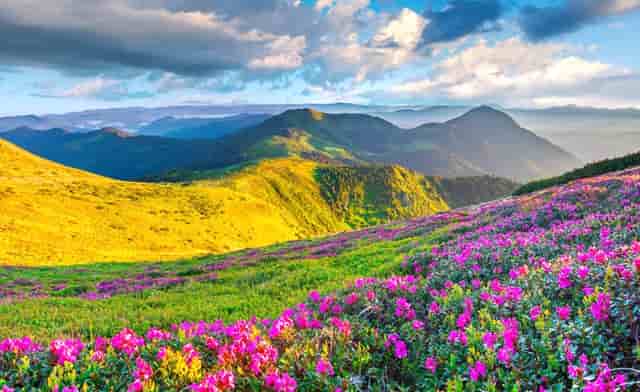 江苏响水田家一公司“3.21”特大爆炸案一审宣判