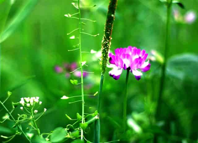 支付宝出行怎么出现在主页面