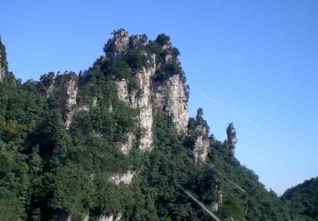 猫咪一天吃几顿合适？袖虎宠物店靠谱地告诉你