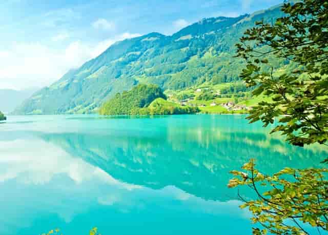 袖虎如此解读猫咪小肚腩的秘密