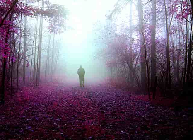 中国女排里约奥运会荷兰女排