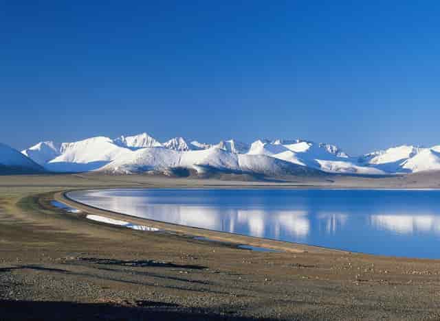 狗狗掉毛困扰，袖虎来支招！