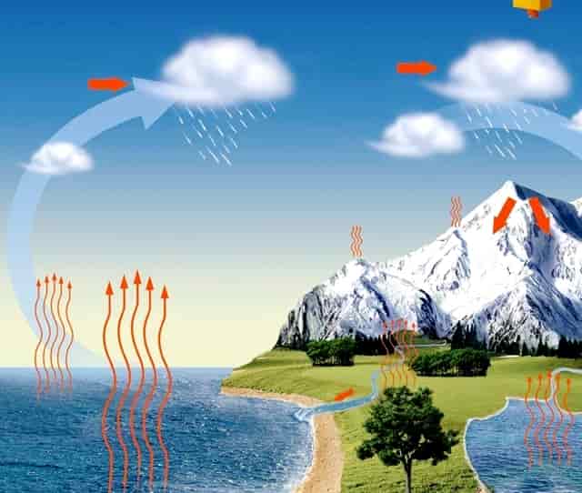 袖虎宠物解答：食品添加剂于猫咪而言都是垃圾吗？