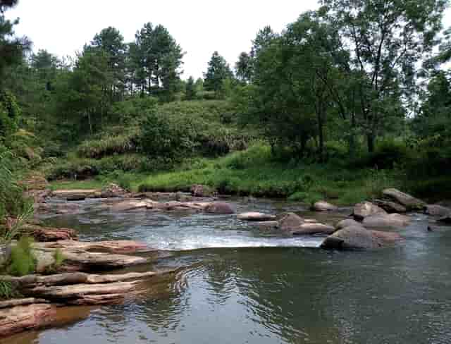 袖虎病猫攻略：猫咪刷牙攻略