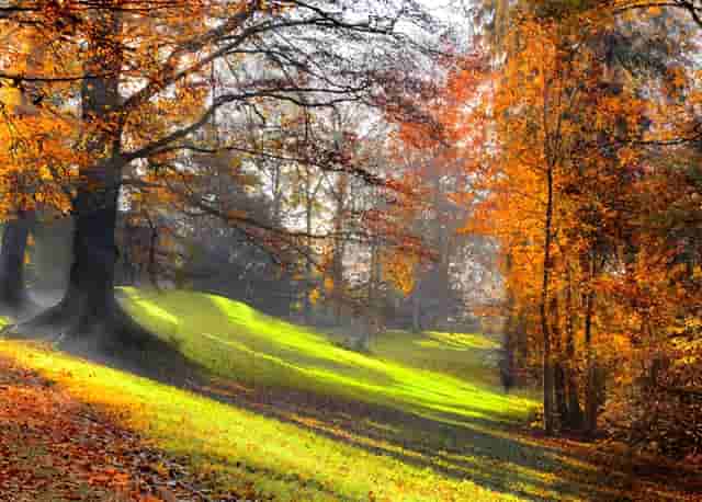 中国第一个芯片制造者