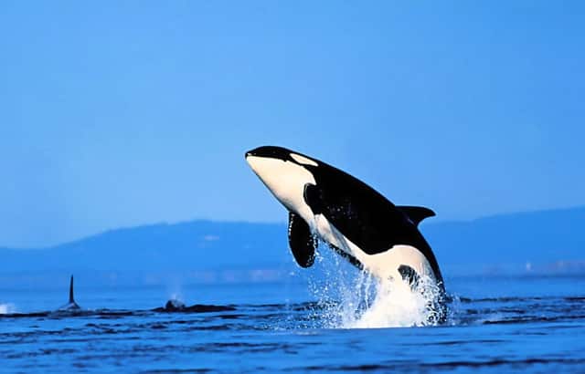 广州最新疫情病例报告