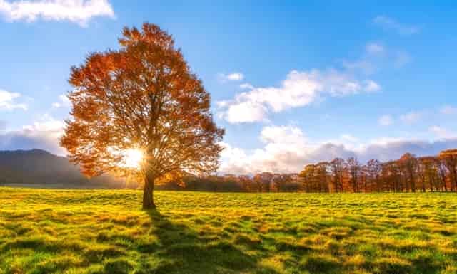 抖音的资讯与现状