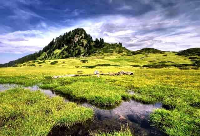 黑龙天的血矛图片(黑龙天图片大全大图)