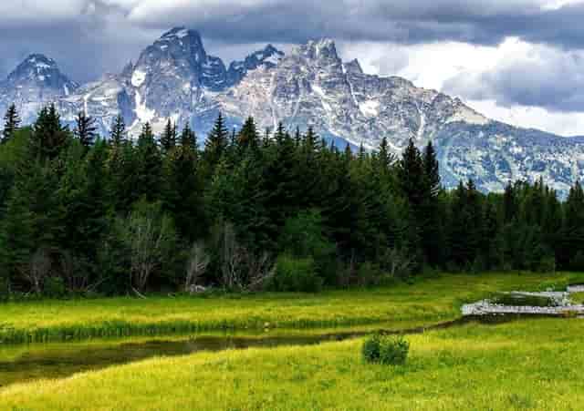 淘气爷孙精彩视频片段