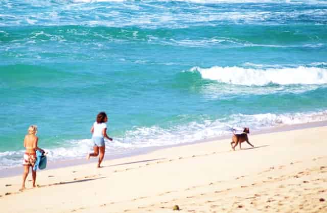 离婚上诉法院不判离怎么办