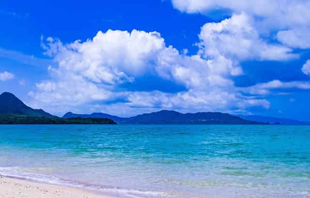 多特蒙德队夺冠