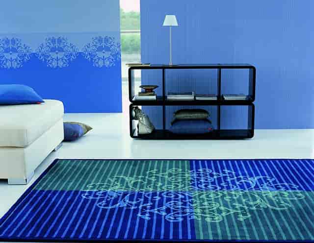 夏天有虫子是什么虫