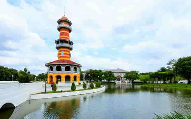 袖虎病猫攻略：猫猫上火那些事