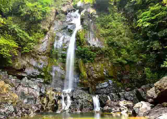 袖虎养宠秘笈：宠物喂养的十大误区