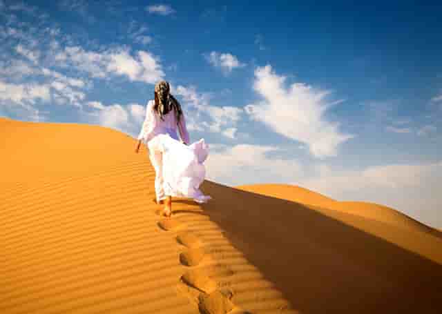 袖虎宠物商业调查：开宠物店如何采购活体资源