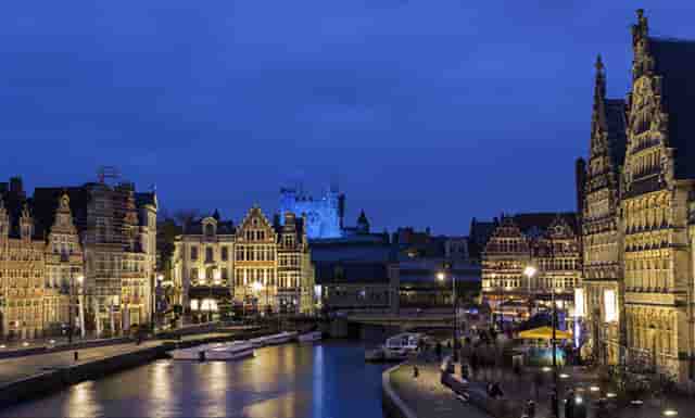 袖虎病狗攻略：这些骨头不能喂狗狗，你知道吗？