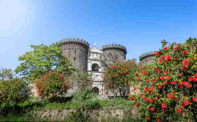 袖虎病猫攻略：加菲猫眼泪能止住吗？