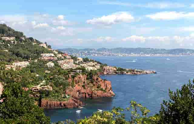 袖虎说，选择什么疫苗好？不打会变病狗吗？