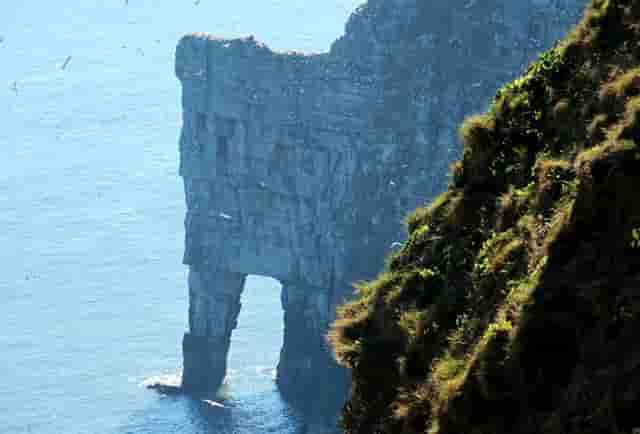 澳门有个什么信的感冒药(澳门治咳嗽的药)