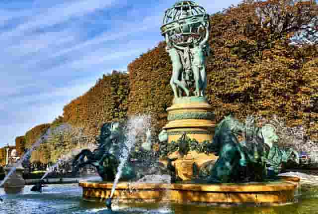 袖虎宠物教你预防黑心商人“卖猫”的诈骗套路！