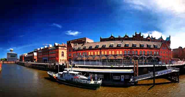 袖虎病猫攻略：怎么知道猫有没有怀孕