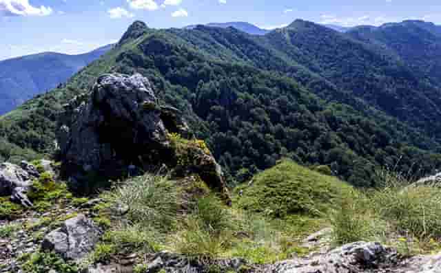 酌古沿津探滦水，扬帆起航新征程