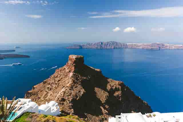 分析宠物销售市场，看袖虎如何养猫生财！