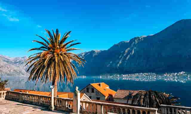 袖虎病狗攻略：狗得狂犬病五大症状，你都知道吗？