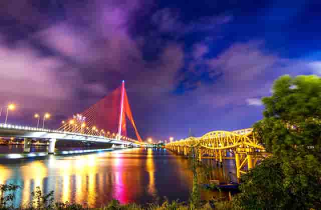 袖虎病猫攻略：买到猫癣的猫怎么办