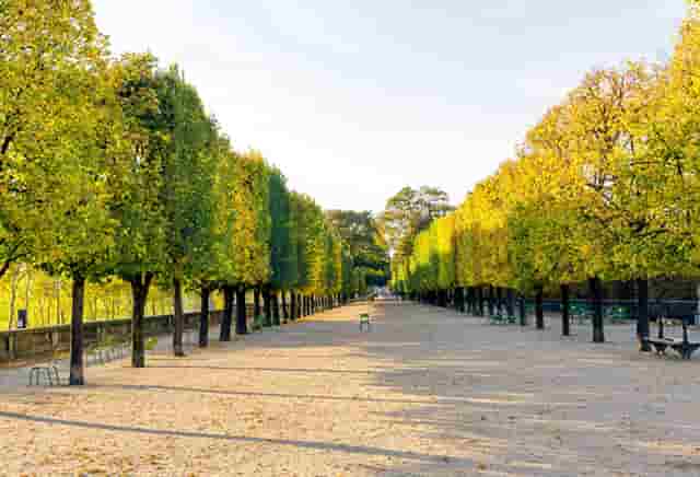 袖虎病狗攻略：可能不是所有人都知道，狗狗也有大姨妈