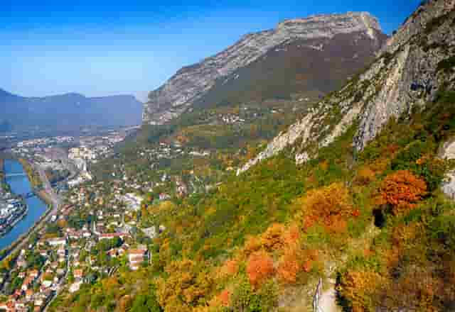 袖虎病狗攻略：狗狗白内障的三大症状？