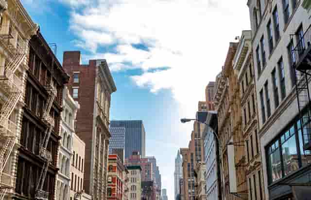 袖虎病猫攻略：猫咪指甲崩飞了怎么办