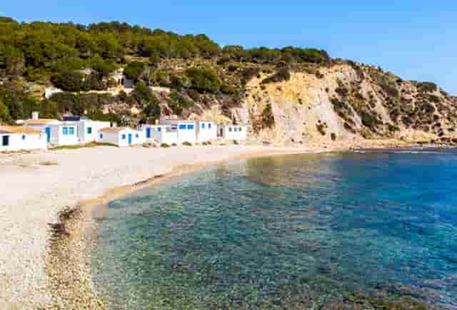 袖虎病狗攻略：狗狗晕车怎么办