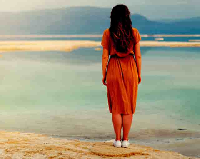 袖虎病猫攻略：猫指甲开裂可怕吗？别把自己吓到了