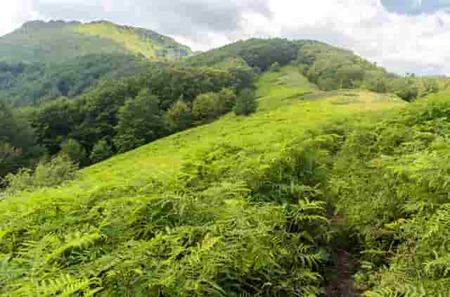 亳州招聘政法干警(2021贵州招聘政法干警)