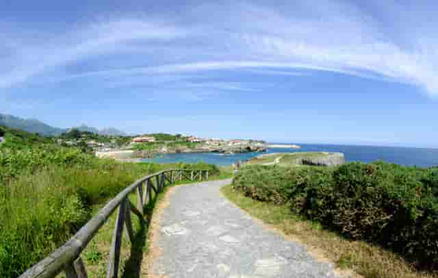 袖虎病狗攻略：幼犬要打哪些疫苗